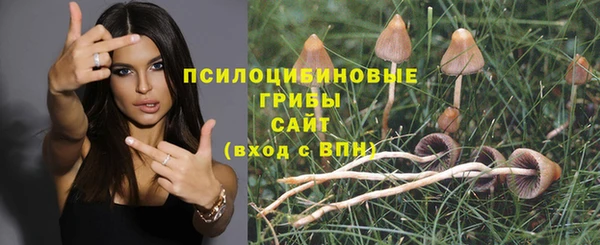 spice Армянск